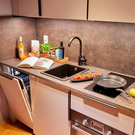 Seeger Living Comfort Downtown شقة فندقية كارلسروه