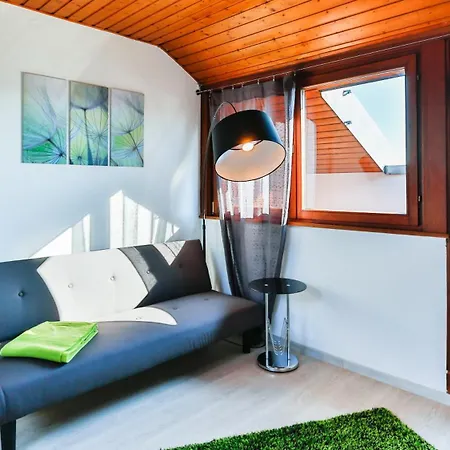 Seeger Living Comfort Downtown 4* كارلسروه