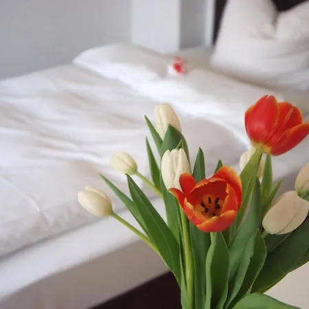 Seeger Living Comfort Downtown كارلسروه